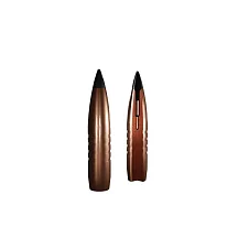 Пуля Russian Solid BAR