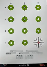 МИШЕНЬ Re308 TYPE2 10шт.