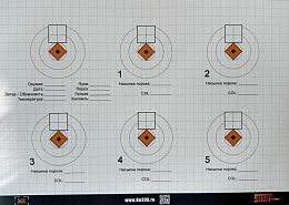 МИШЕНЬ Re308 TYPE1 10шт.