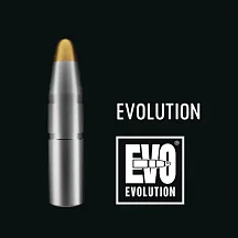 Пуля RWS Evolution Hunting 184gr .30cal (50шт)